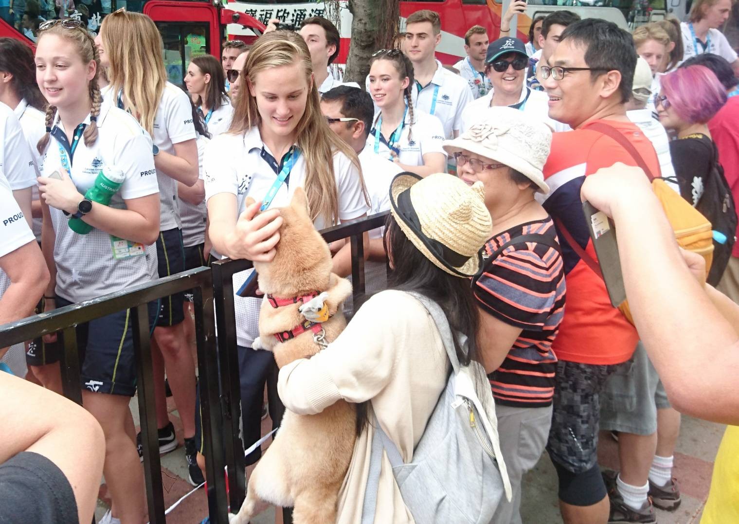 50隻進擊的柴柴包圍世大運現場迎接各國運動員，「史上最萌狗狗外交」讓外國選手都被治癒了！