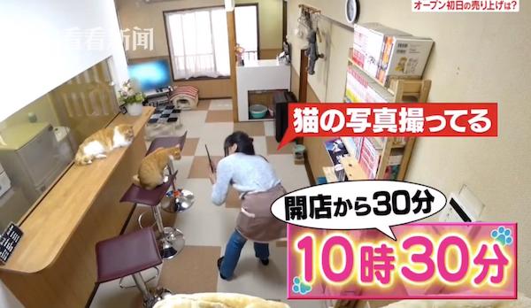 「日本最省女孩」存15年買3棟樓　33歲爽退休...透露目的：幫流浪貓