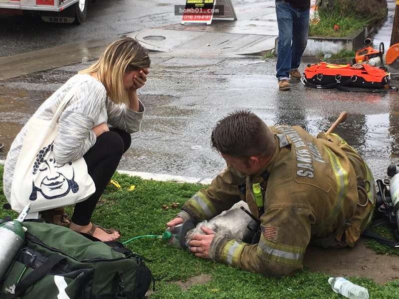 超帥消防員救出失去呼吸的狗狗後不打算放棄牠，當場就跪在地上一直幫牠做心肺復甦術 ！