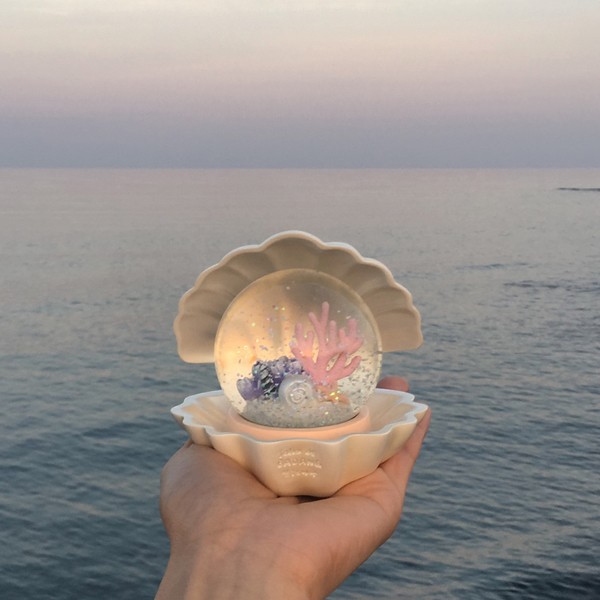 是小美人魚的寶物嗎？　韓國話題度滿滿「貝殼水晶球」手心上握著整個海洋