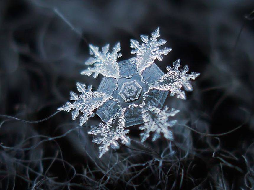花8年時間拍到「冰雪奇緣」場景　國外攝影師公開「最美微距鏡頭作品集」