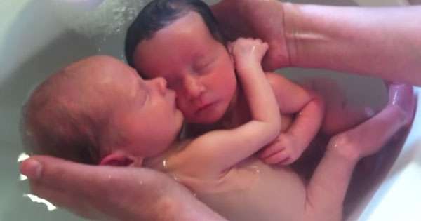 新生龍鳳胎第一次洗澡　還以為在媽媽肚子裡緊緊相擁畫面超療癒