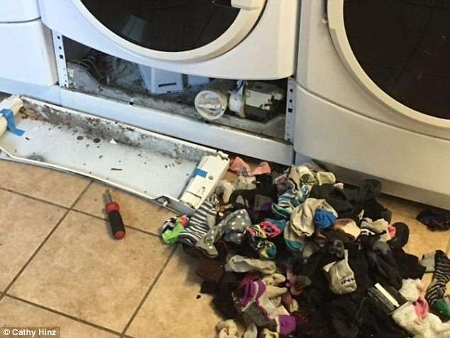 洗衣機真的會吃襪子！　他們拆開一看「炸出一堆襪子」連錢也有