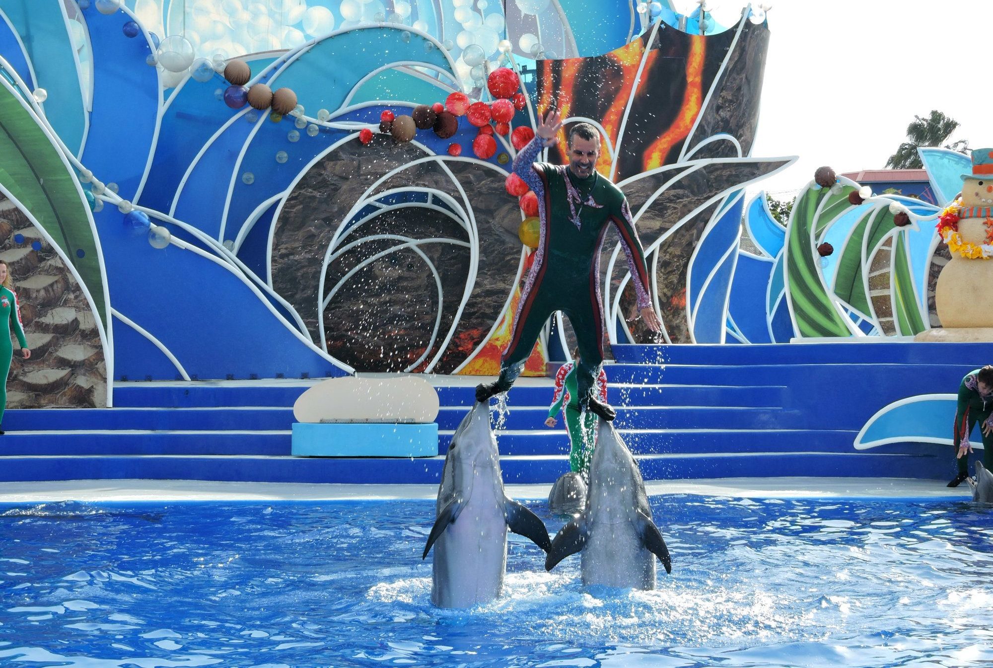 不想鯨魚、海豚再受苦　全球最大旅遊平台「宣布停售海洋世界門票」