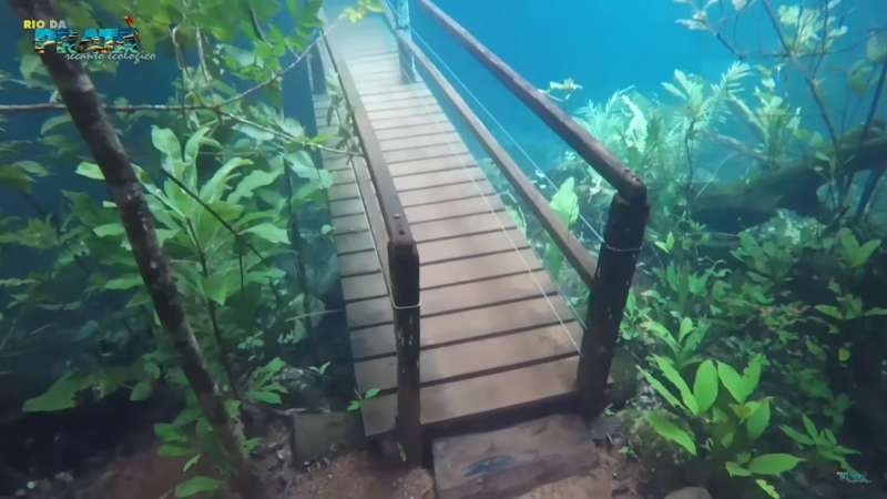 美到窒息！　「藏在水底」的巴西生態區步道　意外成為全世界讚嘆的景點