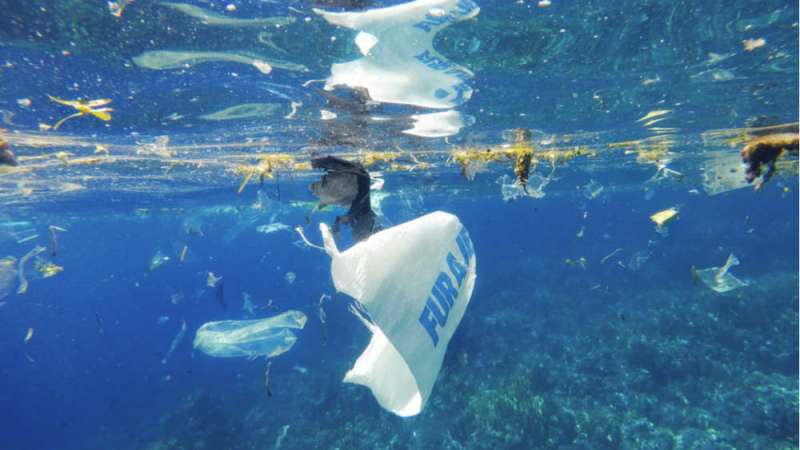 垃圾比魚多！　歐盟出手減低塑膠製造量　2030年所有塑膠製品「都可以回收」