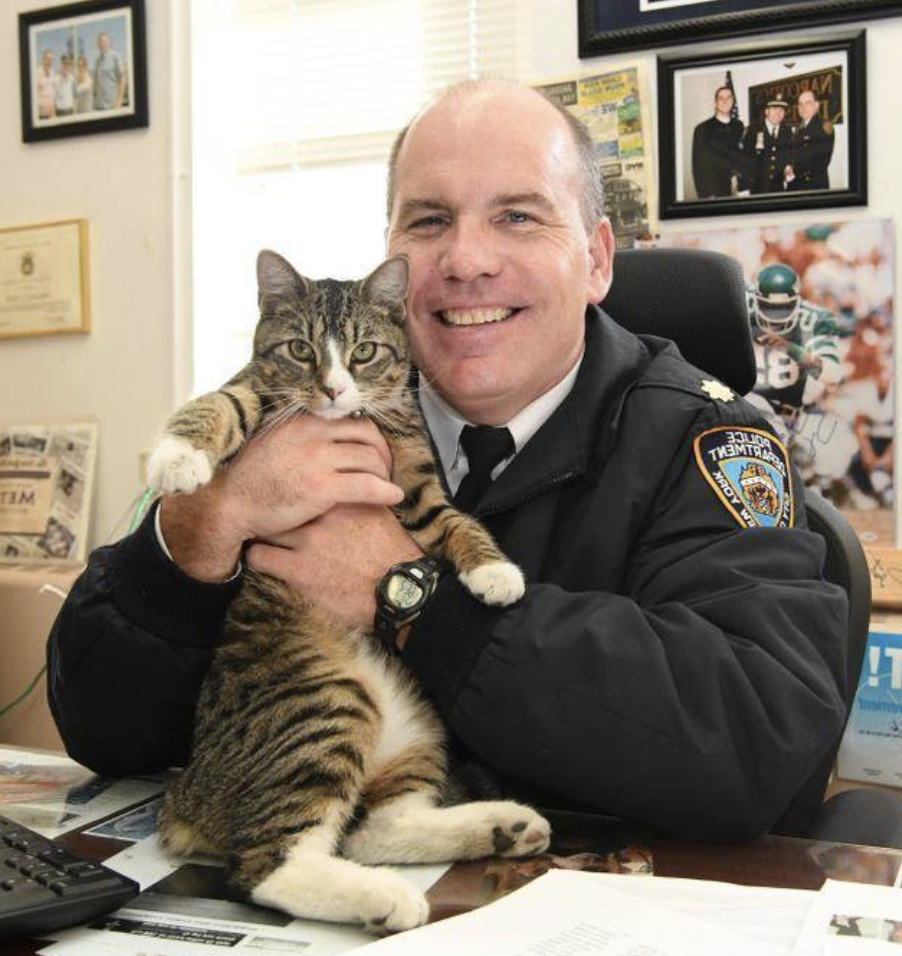 請問要報案嗎？小奶貓遭棄警局門口　被收編反「俘虜奴才」成警局老大！