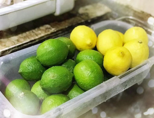 45種「檸檬妙用」幫減少生活煩惱　放進冰箱「異味都不見了」