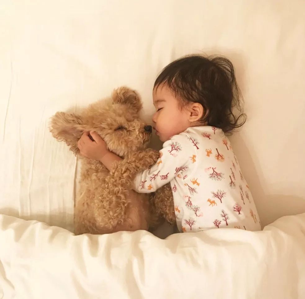 這樣曬娃很可以～小女孩每天「必和狗狗一起睡覺」　狗姊姊溫柔當抱枕超甜♡