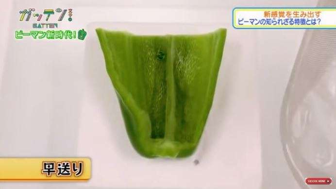 「冰了2天的青椒」變日本居酒屋神菜　水果口感征服挑食者：沒有臭味了！