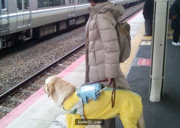 日本失明人士在搭乘地鐵時突然墜落軌道，但他最後一刻緊急「做了這個舉動」拯救導盲狗狗！