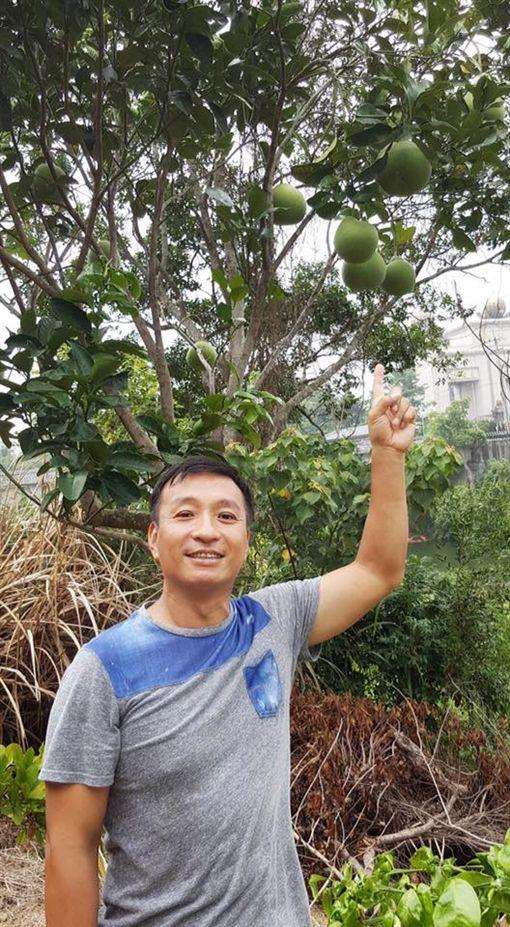 王中平坦承「在中國養了一棵樹3年」　還特地接回台灣讓老婆余皓然超傻眼