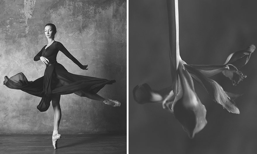 從大自然領悟到舞蹈之美～　攝影師「芭蕾舞＝花朵」對比圖展現超高相似度