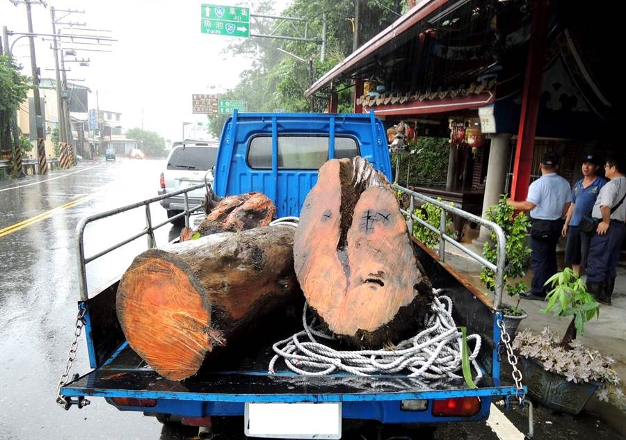 颱風白鹿帶來的漂流木開放撿拾　台東縣府公告：9月10日起至10月9日止