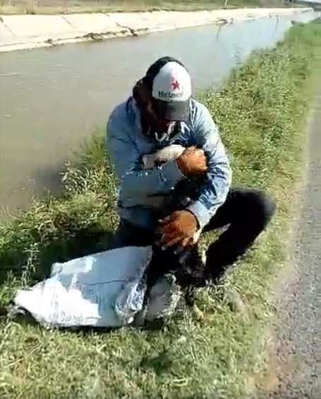 狗狗落入大水溝一路漂　好心人救起…牠窩懷裡「不斷道謝」：太感激你了！