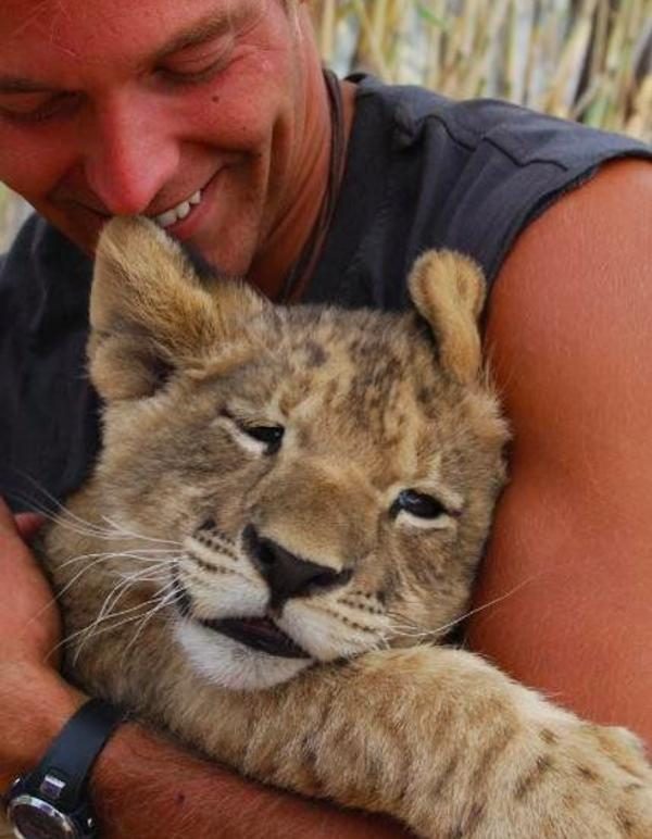 小獅子被「人類爸爸」養大才野放　長大看到秒求抱抱：才不會忘了你～