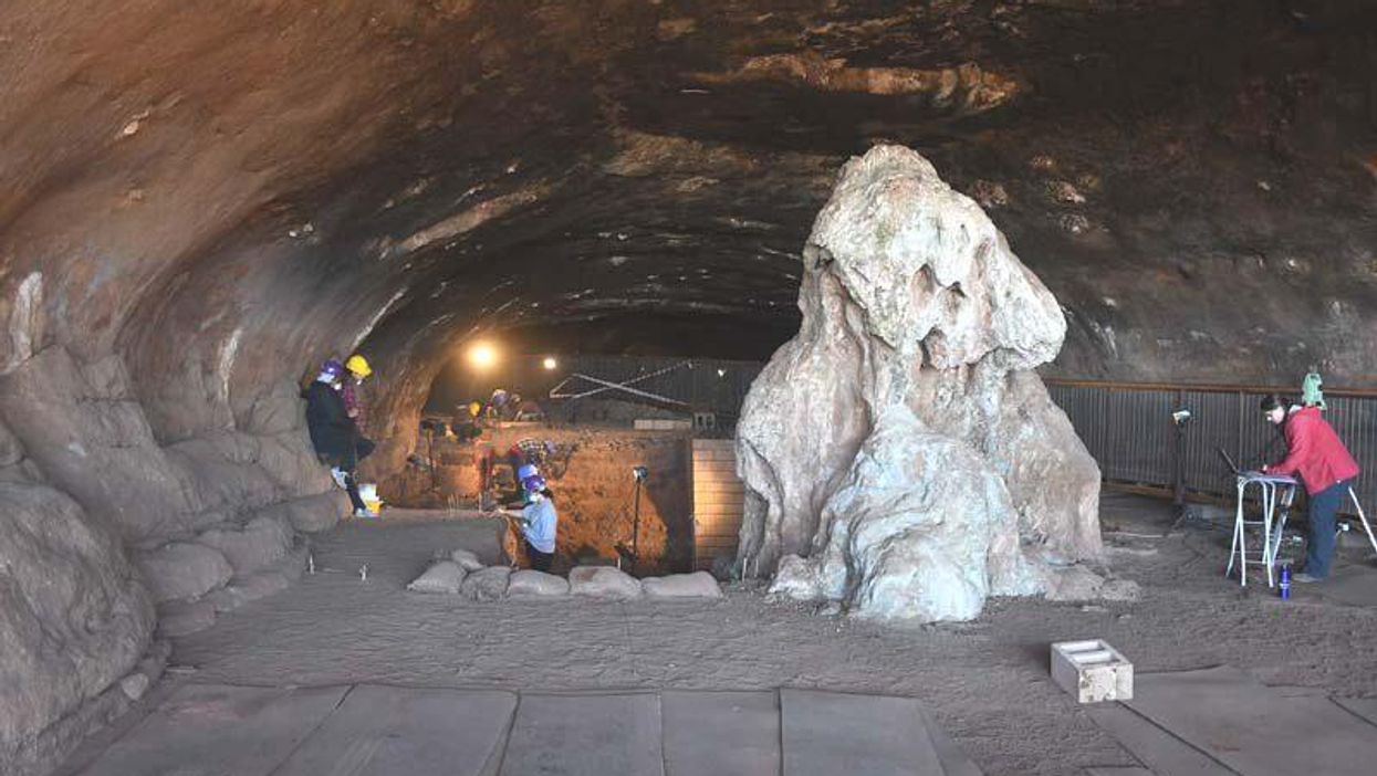 考古學聖地！南非發現「180萬年前」人類活動證據　起源竟然就在沙漠洞穴裡