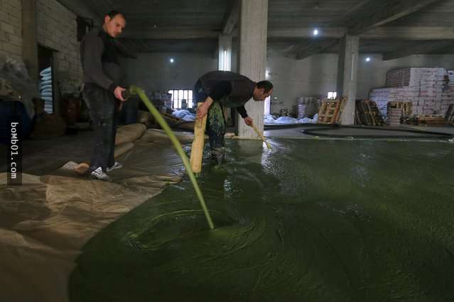 他們將綠色的液體倒在地板上準備做出「千年古物」，看到一半後大家就決定要揪團購了！