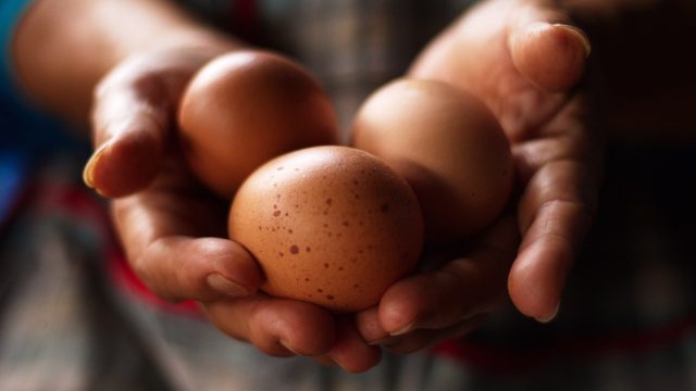 救蛋荒！空運澳洲「576箱雞蛋」已抵台　美、日雞蛋即將到貨