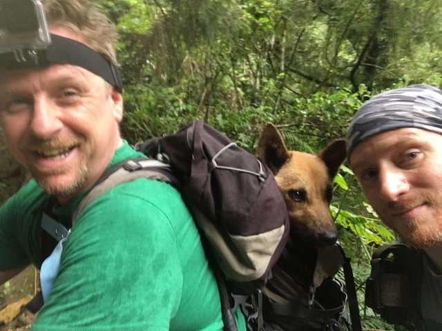老外徒步12小時走進「台灣山區」救狗　最後成功救出受困許久的毛孩