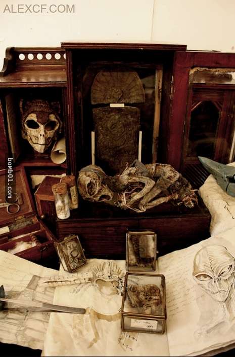 英國百年孤兒院藏在地窖的詭異收藏「全部被挖出來」，各種吸血鬼、狼人和妖精標本讓大家都信以為真！