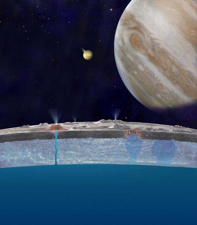 外星人就在這？木星衛星深海有生物　科學家：長得像章魚