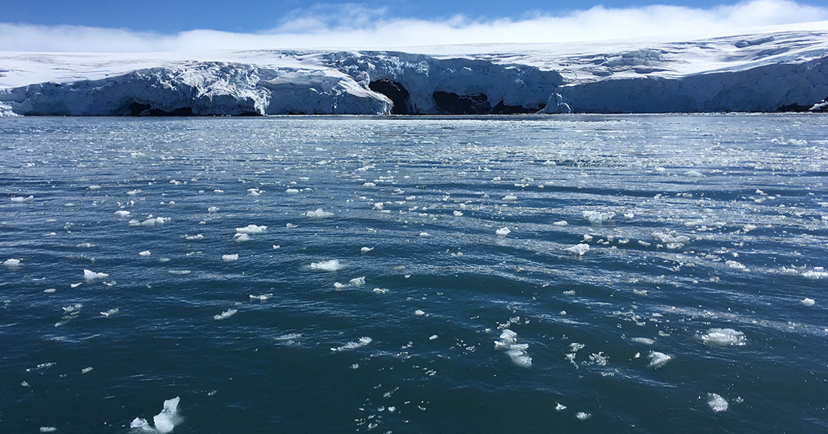 南極出現大湖！NASA實拍南極洲熱浪　短短9天出現「融出一片湖泊」