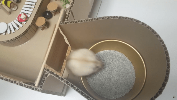 鼠寶也有迴轉壽司店! 飼主貼心設計…牠爽拿一盤又一盤:享受包場了❤️
