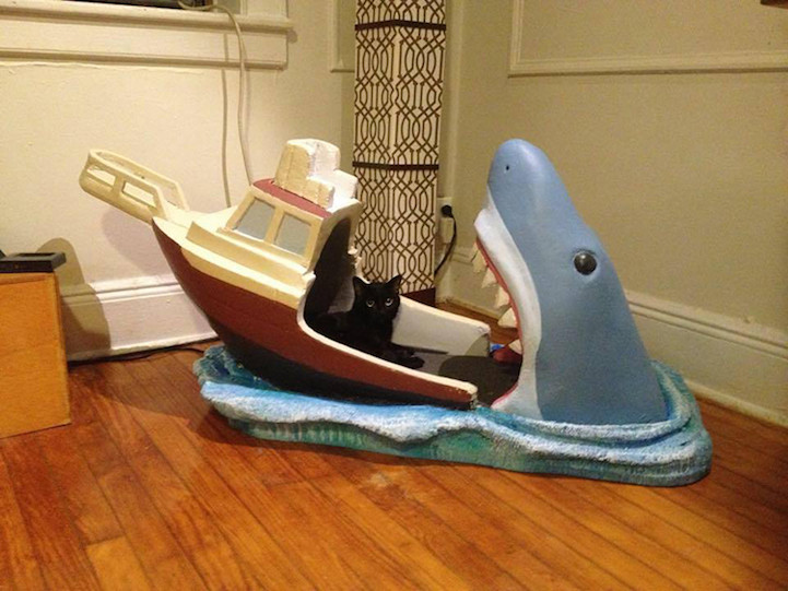 要被吃啦～客制大白鯊床「寶寶好High」　黑貓一坐滿臉問號：蛤