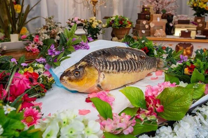 最獨特寵物葬禮！陪伴20年「鯉魚」過世　主人舉辦隆重告別儀式