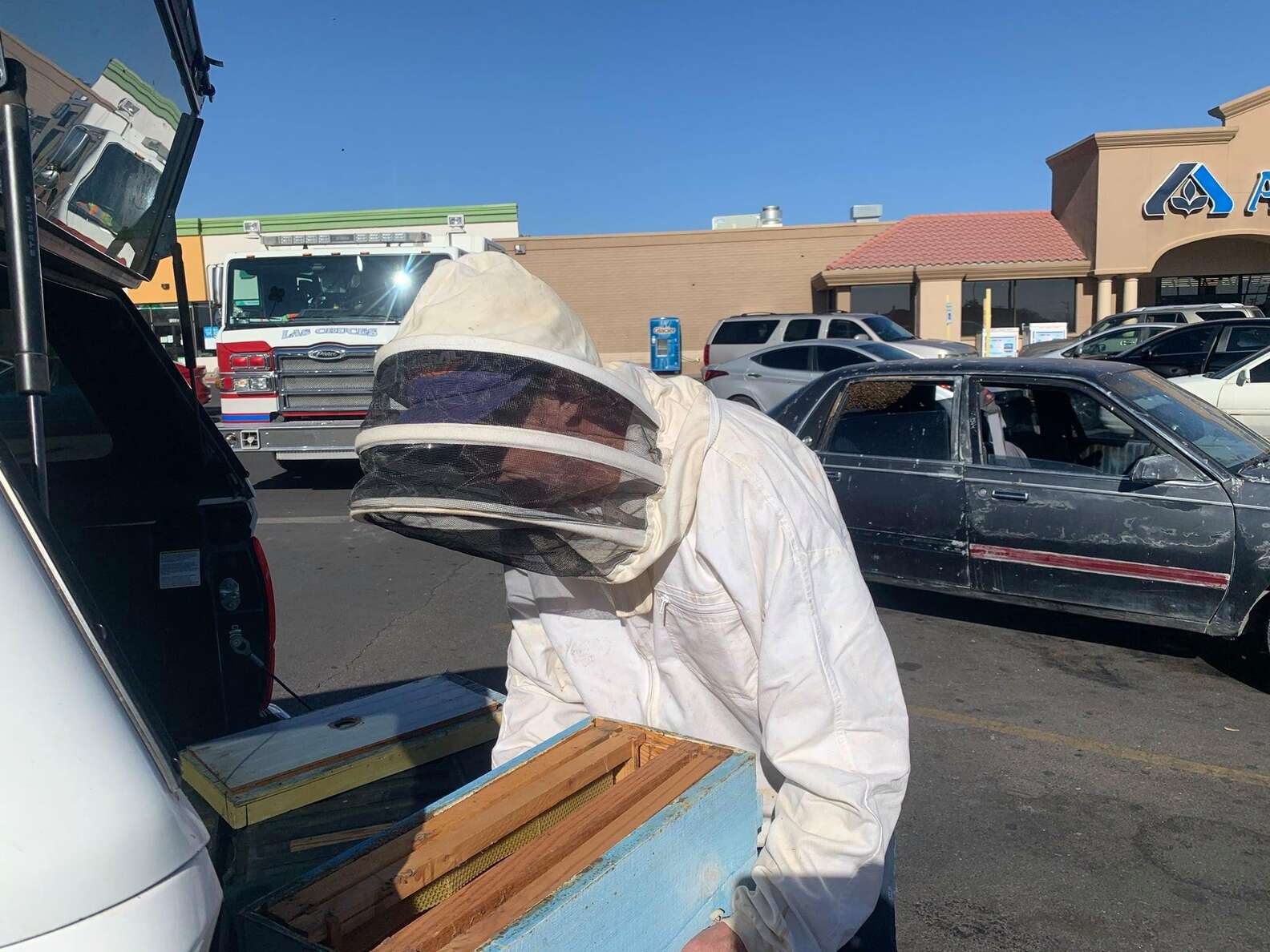 去超市沒關車窗！　他10分鐘回來發現「車內有上萬蜜蜂」當場崩潰