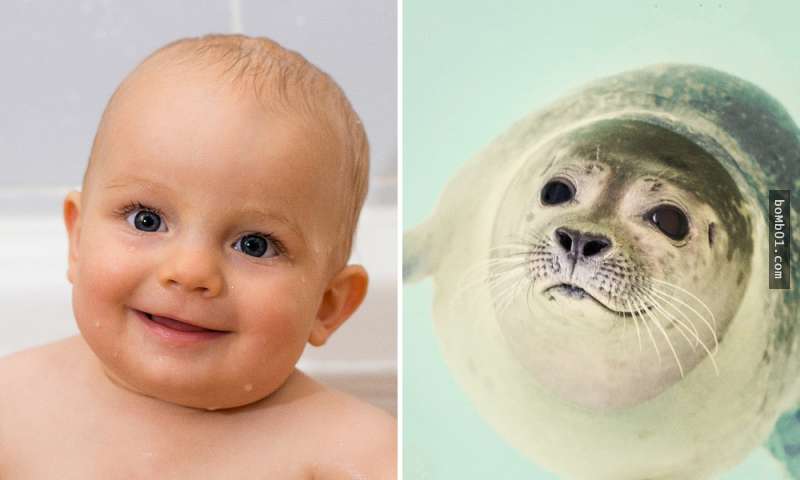 15張證明「動物真的擁有和人類小孩一樣情感」的表情對比圖。