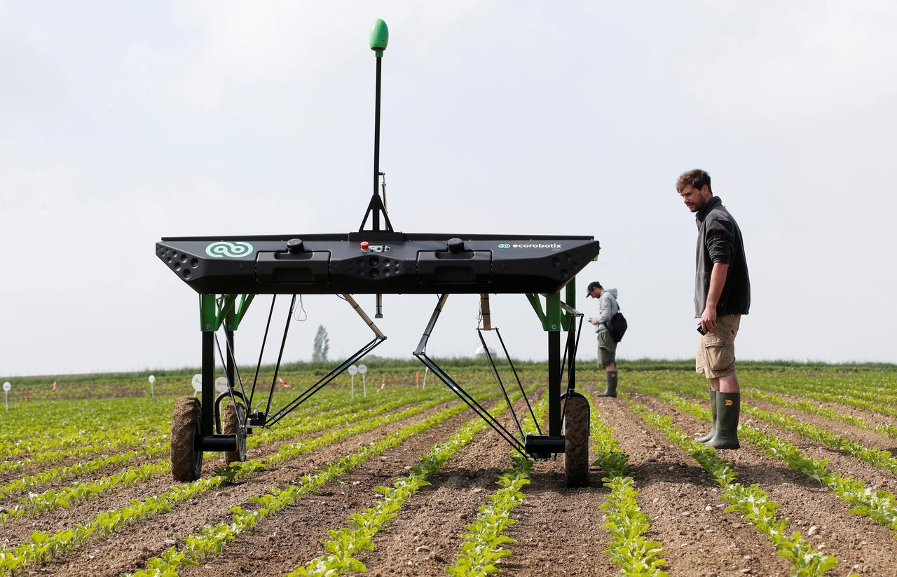 進化了！「AI 除草機器人」幫節省90%農藥使用量　可工作12小時不休息