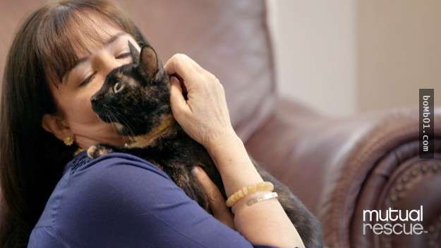 癌末少女最後的願望就是「領養一隻小貓」，離世前她對家人說「讓牠代替我」…