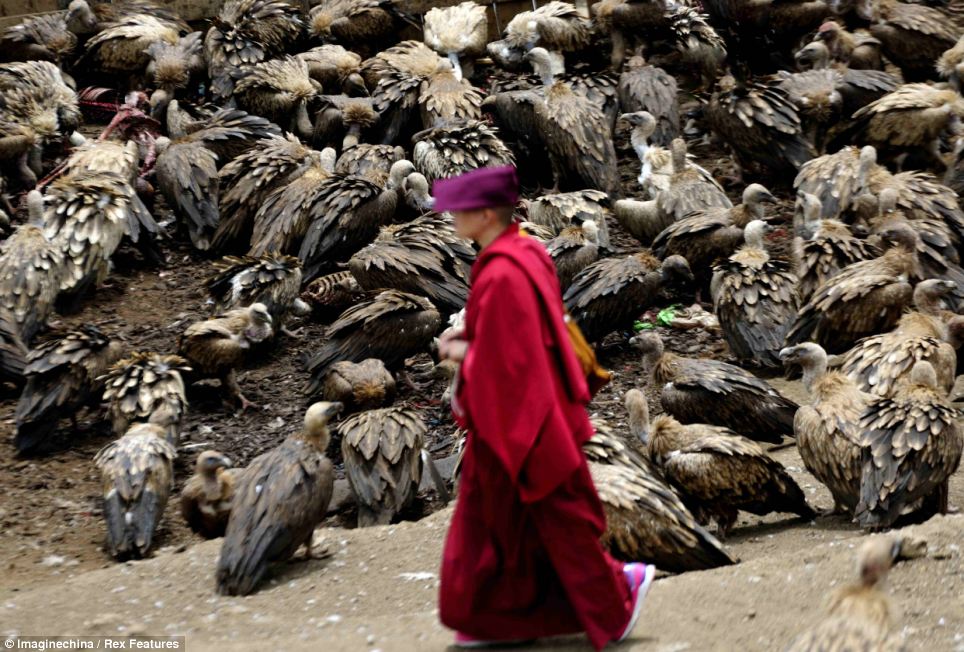 這個女子在西藏看了傳說中的「天葬」後留下一個感想，看完內心徹底感受到她當時的震撼！