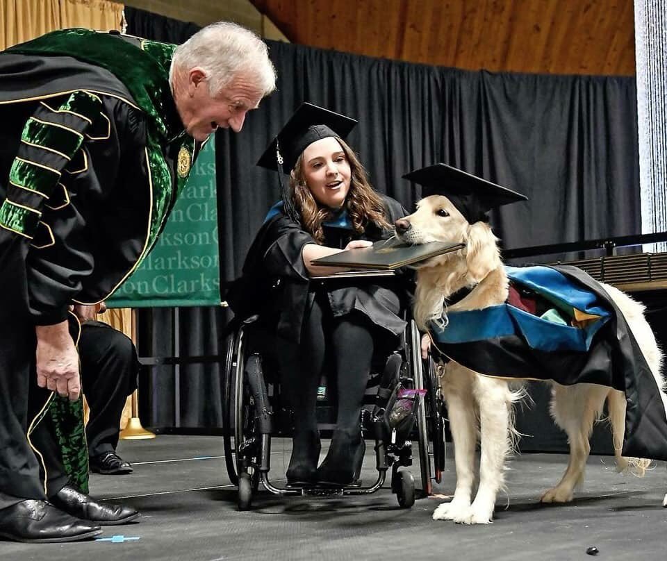 服務犬陪身障主人上學「4年來不吵不鬧」　畢業典禮獲「特別證書」好驕傲❤