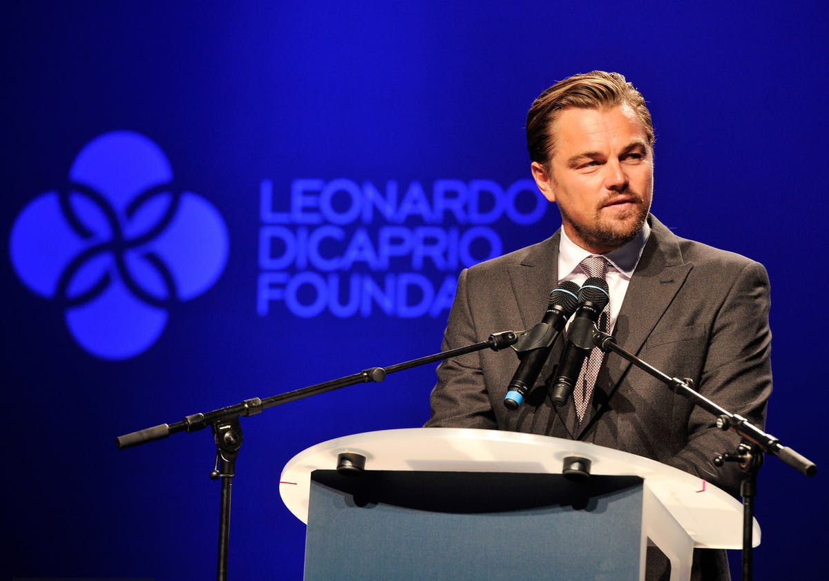 「我再捐1億美元」　李奧納多用行動說話：為了保護地球和拯救野生動物