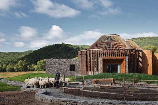 叫別人怎麼活？建築系畢業的吳彥祖打造「草原星空圖書館」　開闊設計一舉入圍「建築界奧斯卡獎」