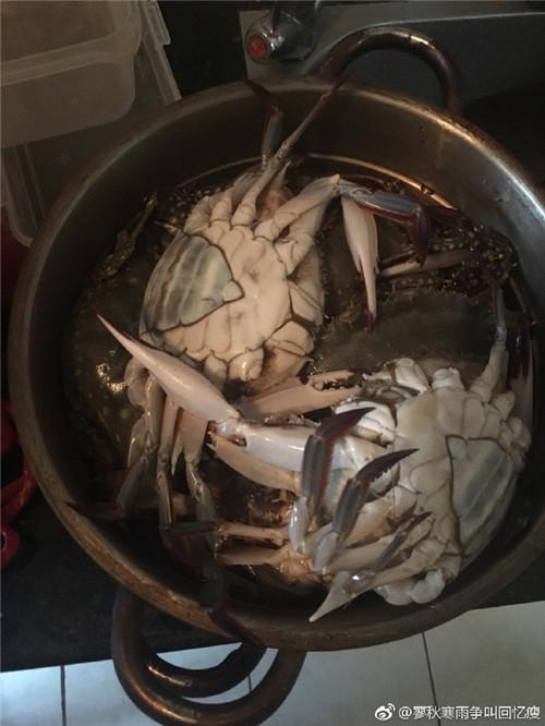 她買了這些「用橡皮筋綑綁」的螃蟹時不以為意，直到回家一拆開才驚覺被騙打死也不再買了！