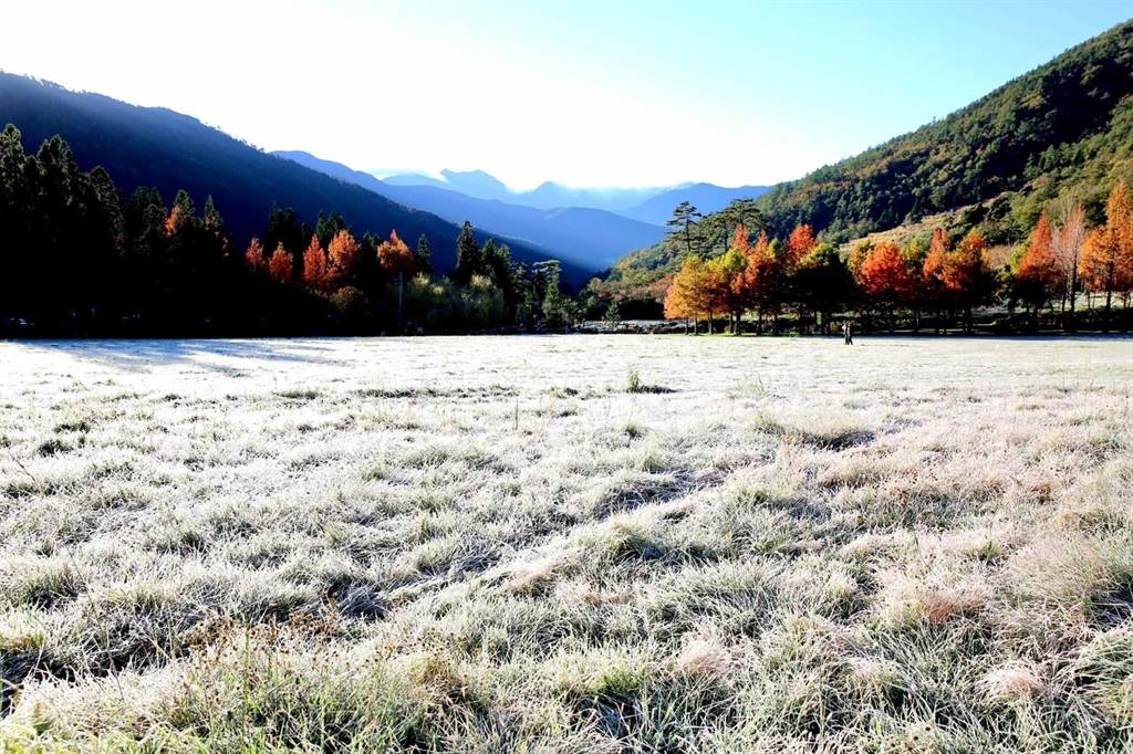 氣溫-2度！武陵農場大草原「披上夢幻白紗」　耶誕氣氛濃郁：這是北歐嗎？