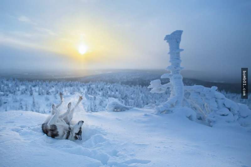 超愛聖誕節的人此生一定要去一次芬蘭「這裡」慶祝，魔幻的冰天雪地會讓你玩到不想回家！