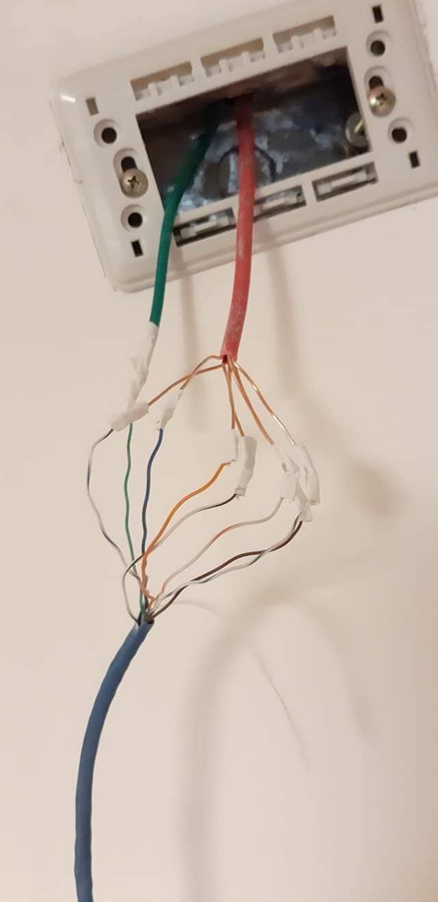 學弟DIY「亂接電力線網路」整間跳電　網問：這是接到天國的線？