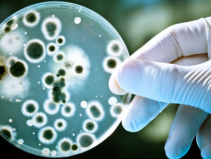中國發現新型超級細菌完全無藥可醫，「高毒性、高致病、高傳染」讓民眾人心惶惶！