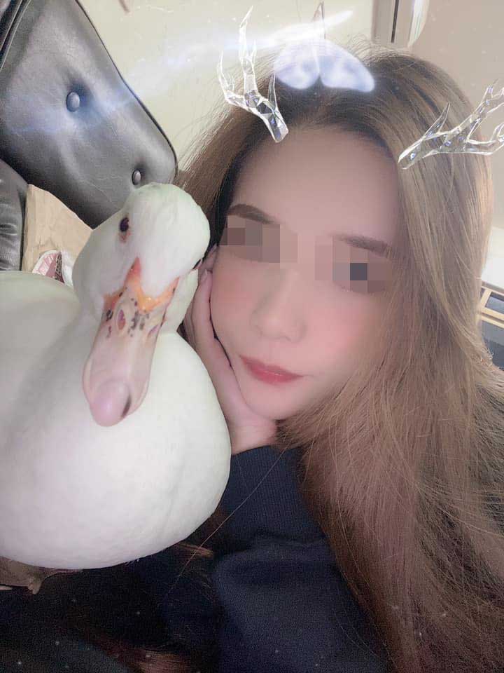 「心愛寵物鴨」被家人偷賣　桃園正妹急壞哭求：拜託還給我！