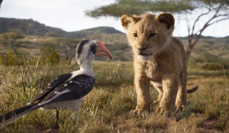 網友公開說「拜託不要帶小孩去看《獅子王》」　真心話讓家長都也讚：說得好