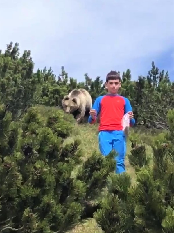 踏青背後冒出一隻熊！　12歲弟「太空漫步式」淡定臉下坡：真的不用理我沒關係…