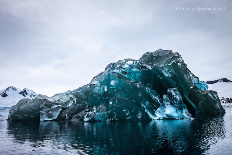 冰山底下長什麼樣？攝影師驚喜遇到「翻轉冰山」　「漂浮藍寶石」美到屏息