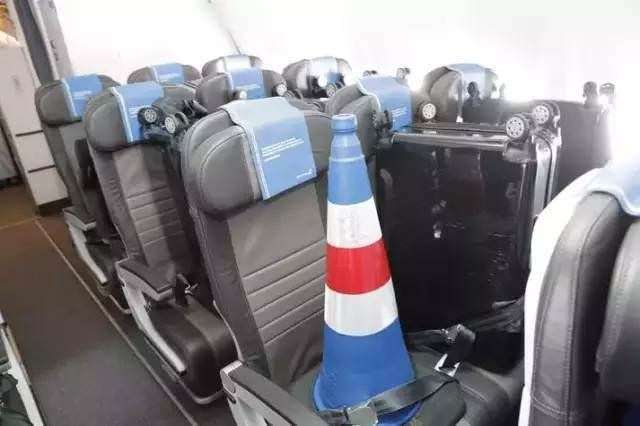 世足大黑馬冰島球隊的吉祥物是「路障」　上飛機還有VIP待遇萌翻天