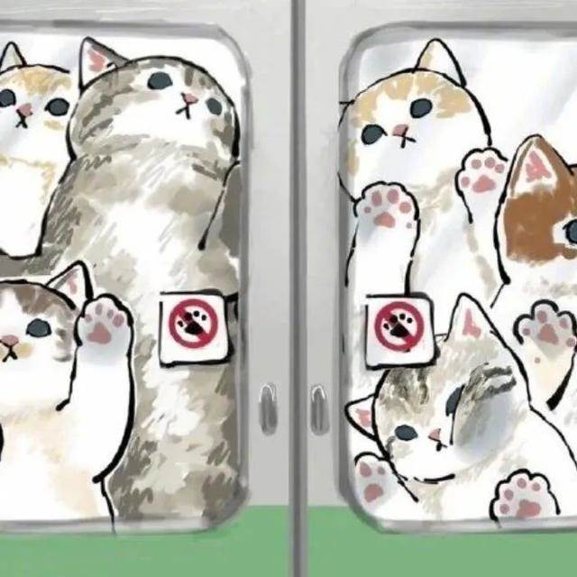 如果貓咪也要上班～　插畫家「擠地鐵的貓」玻璃拍滿肉球反而好療癒♡