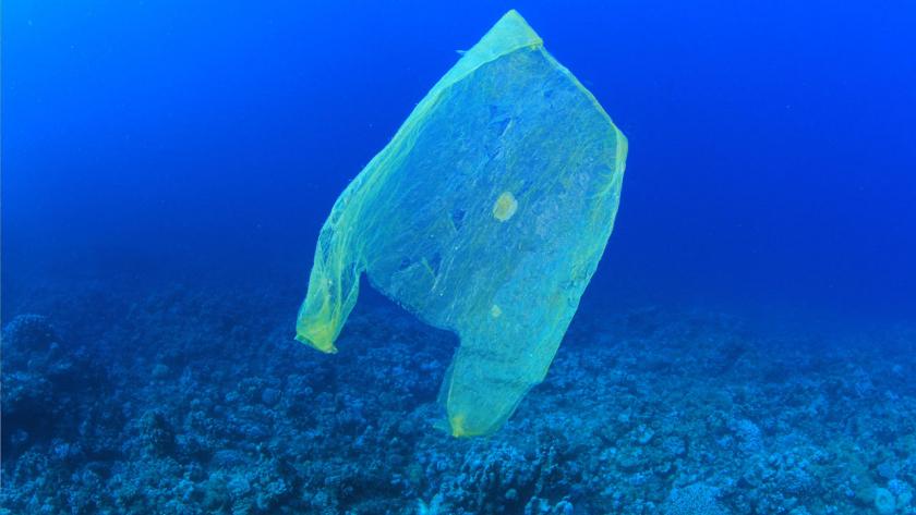 塑膠袋發明初衷竟是「為了救地球」　發明者之子嘆：不懂大家為何用完就丟